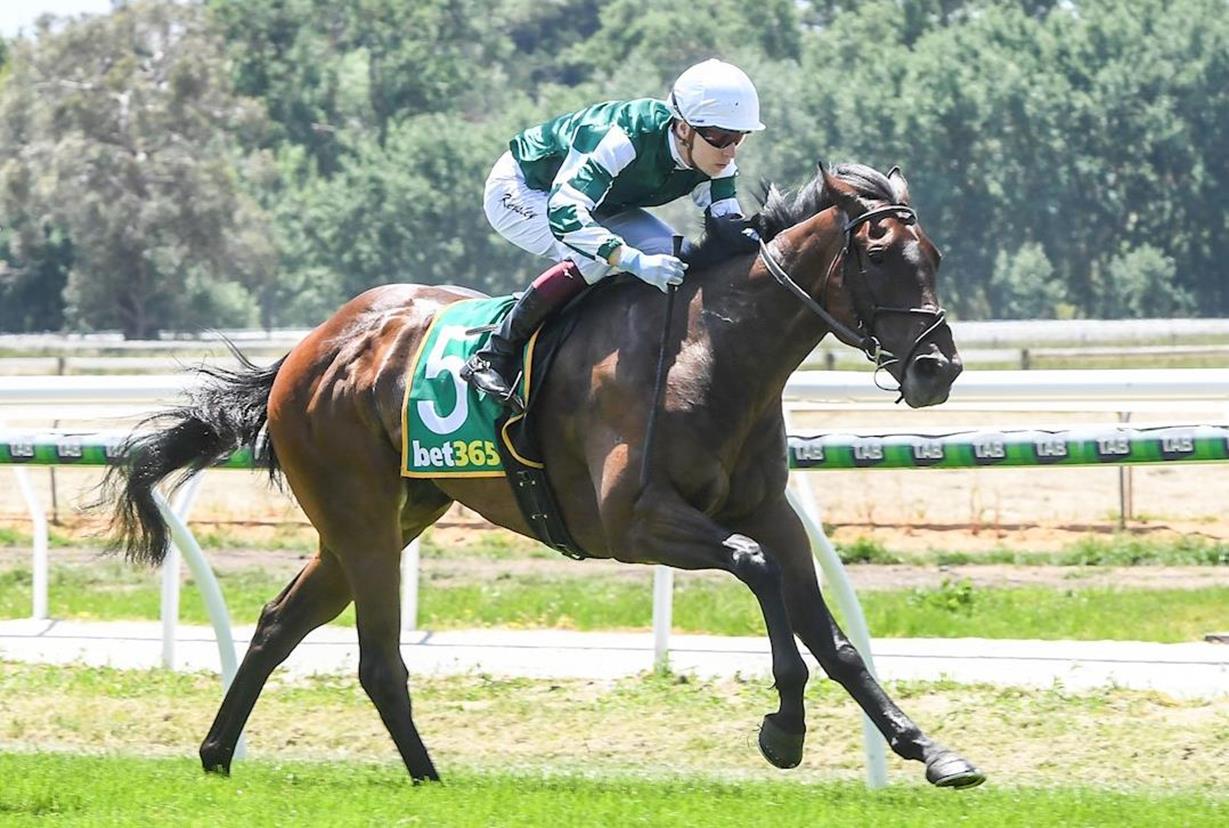 YULONG GELDING SOARS TO VICTORY